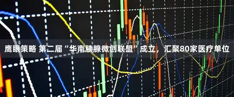 鹰眼策略 第二届“华南胰腺微创联盟”成立，汇聚80家医疗单位