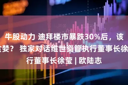牛股动力 迪拜楼市暴跌30%后,该恐慌还是贪婪? 独家对话维世资管执行董事长徐莹 | 欧陆志